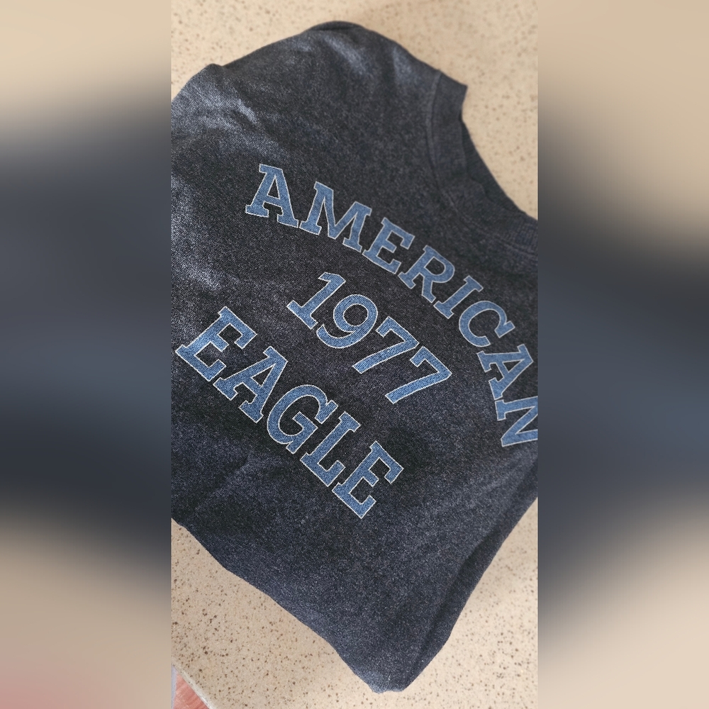 American Eagle Outfitters Dark Gray Sweatshirt